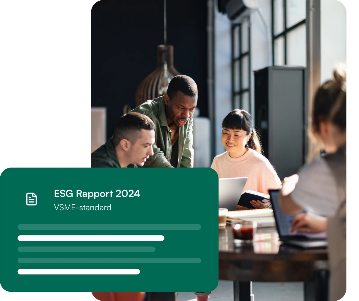 VSME rapport